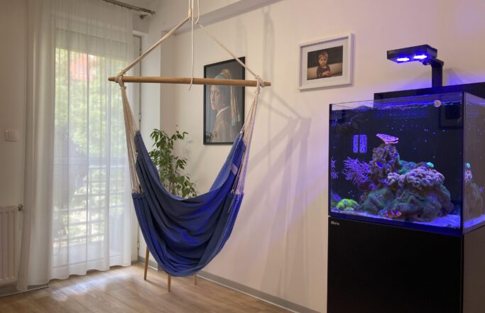 Budapest XV. – lakásfelújítás